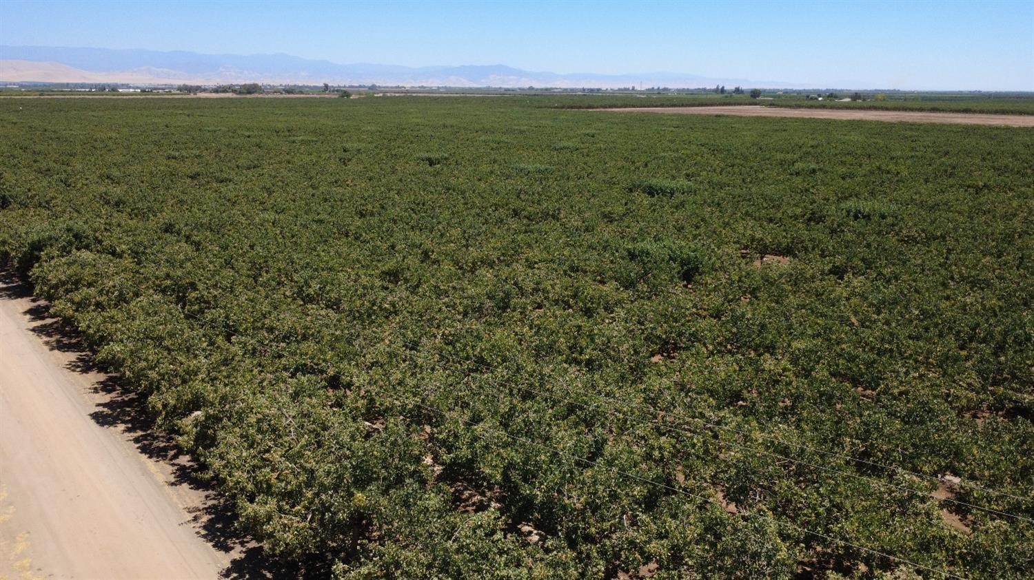 0 Ave 24 & Rd 208 Terra Bella, CA 93270 - Photo 3 of 6