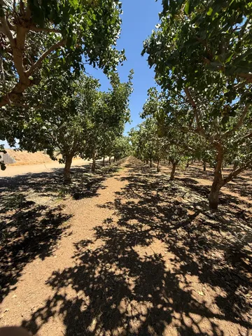 $8,310,420 | 0 Ave 24 & Rd 208, Terra Bella, CA 93270