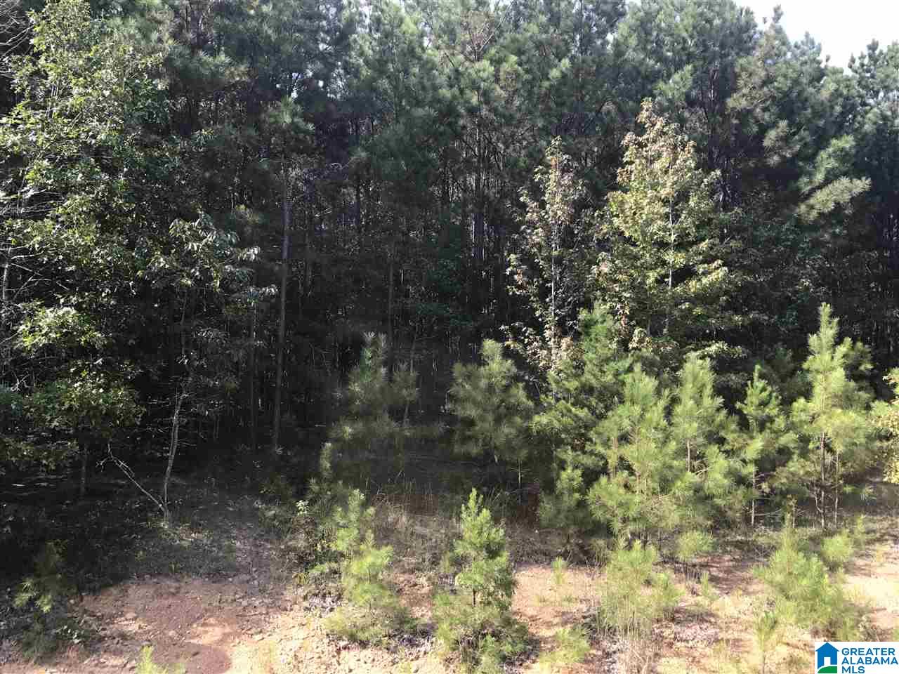 5805 Pine Mountain Road Remlap, AL 35133 - Photo 47 of 47
