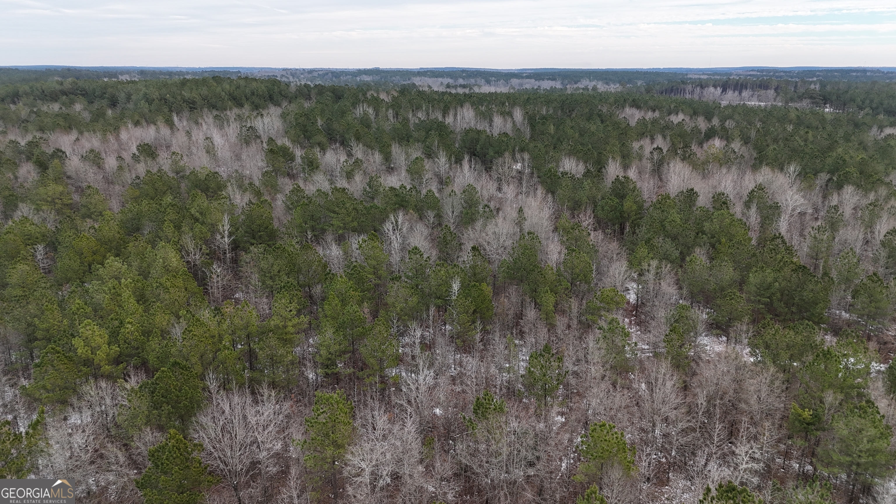 900 Landrum Road Warrenton, GA 30828 - Photo 1 of 1 a view of a lush green forest with a lake
