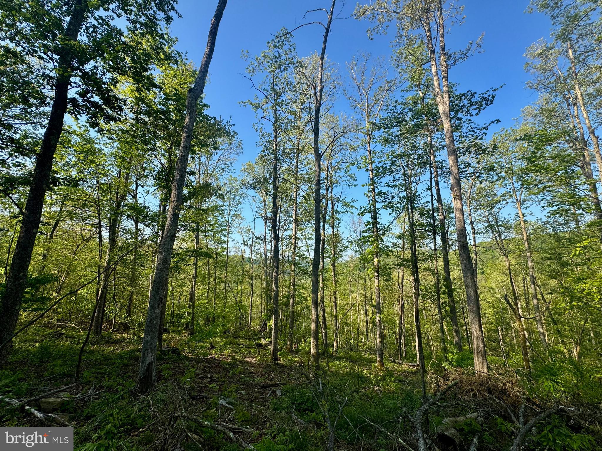 John Orr Road Independence, WV 26374 - Photo 28 of 37