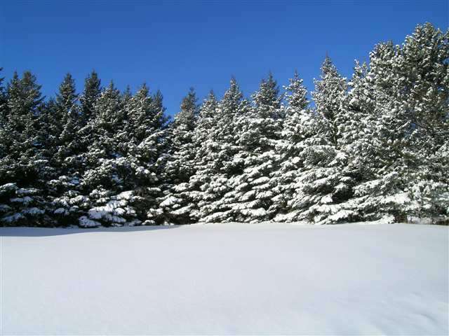 542 X Halie Road Duluth, MN 55810 - Photo 3 of 6 Gallery Image 3