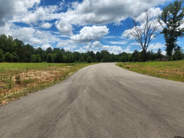 $50,000 | 20021 Dews Court, Troup, TX 75789