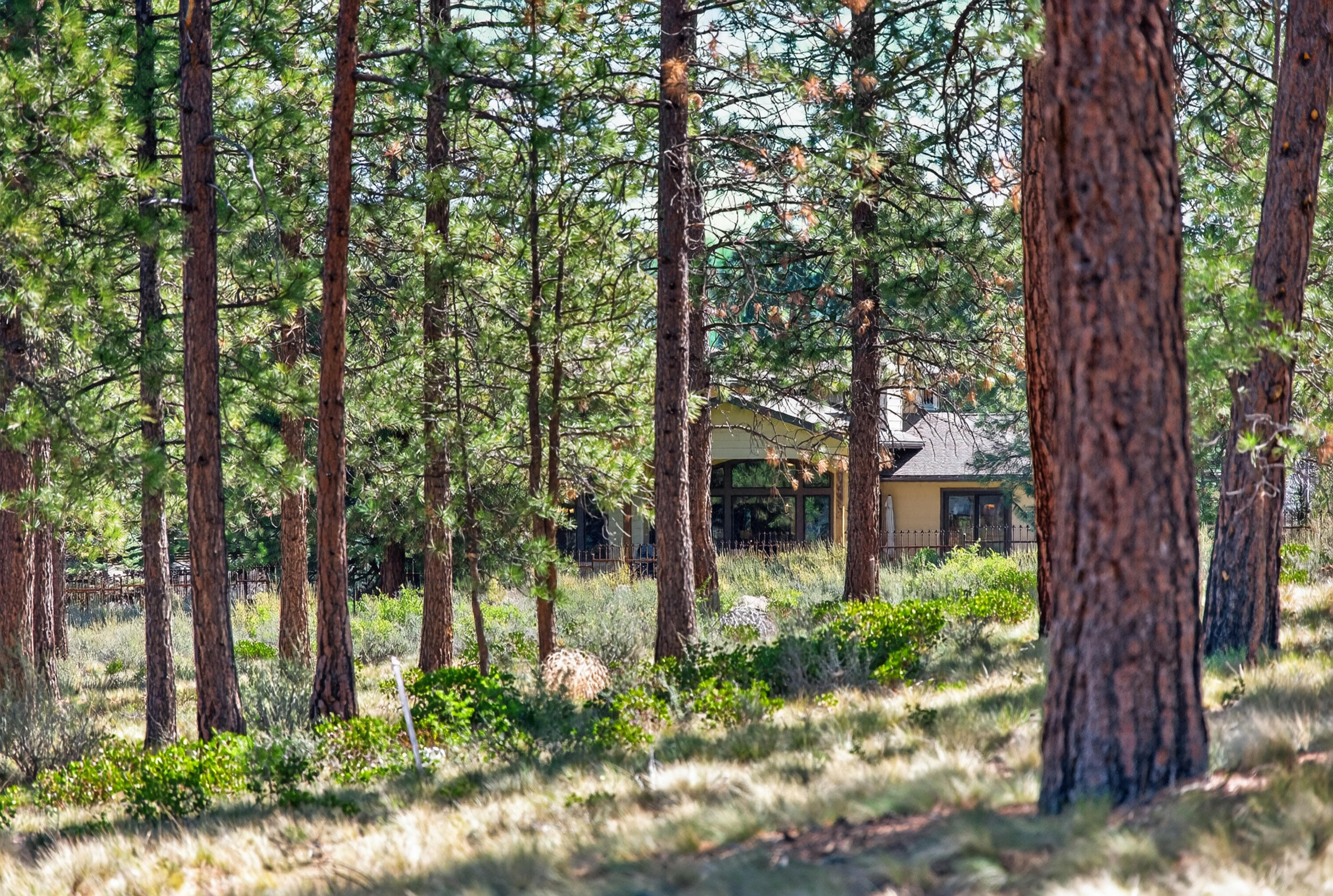 3324 Northwest Shevlin Ridge Bend, OR 97703 - Photo 7 of 45 07