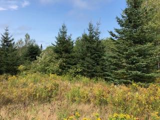 0 Sacarap Road Columbia, ME 04623 - Photo 5 of 9 IMG_1807