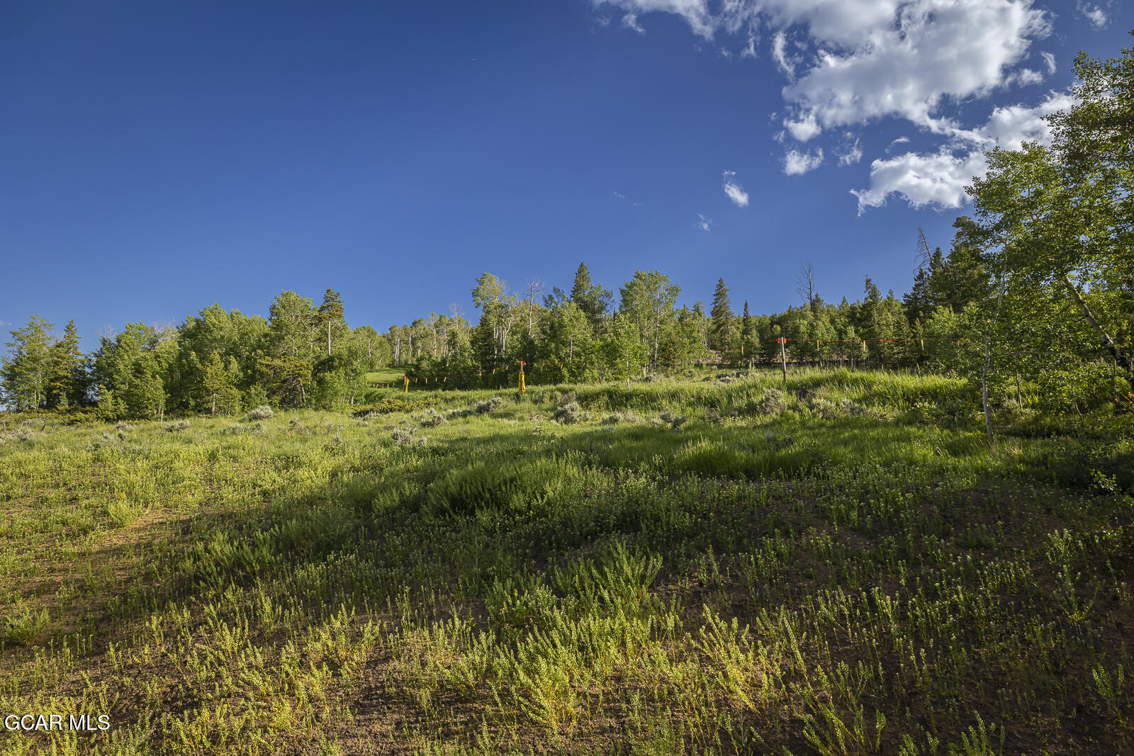142 Saddle Mountain Camp Road Granby, CO 80446 - Photo 38 of 71 6.21.25 142 Saddle-38