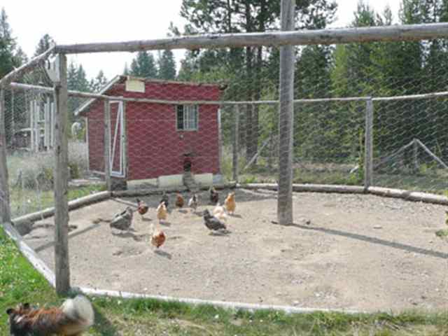 221 Roberts Road Newport, WA 99156 - Photo 7 of 9