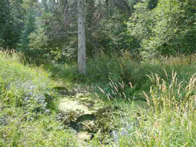 221 Roberts Road Newport, WA 99156 - Photo 8 of 9