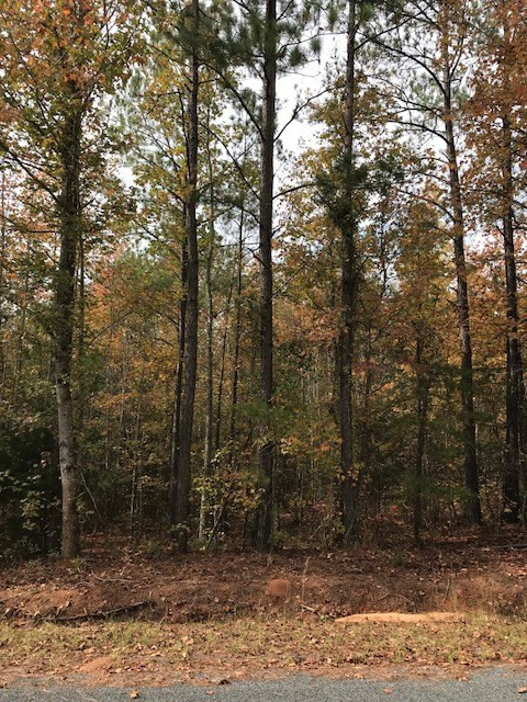180 Lloyd Road Trenton, SC 29847 - Photo 1 of 3 Main View