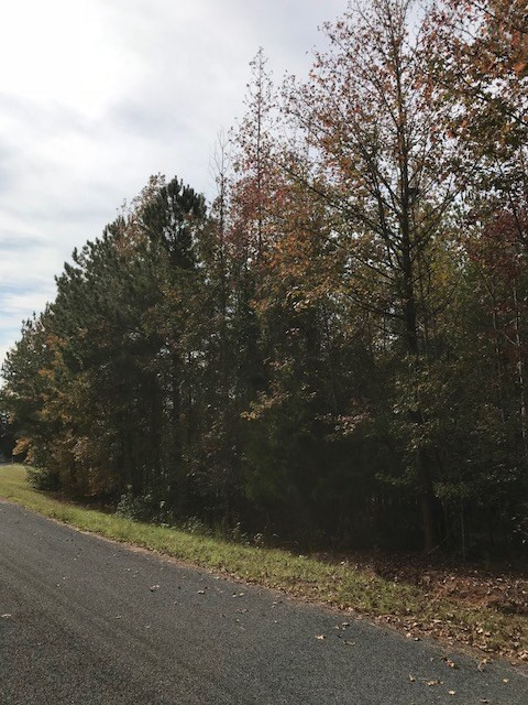180 Lloyd Road Trenton, SC 29847 - Photo 2 of 3