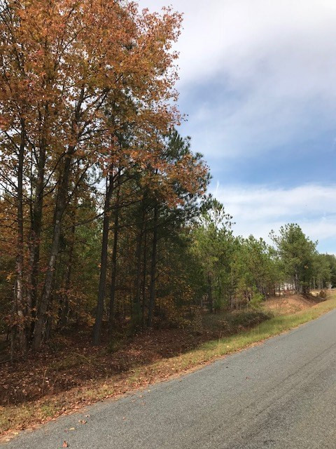 180 Lloyd Road Trenton, SC 29847 - Photo 3 of 3