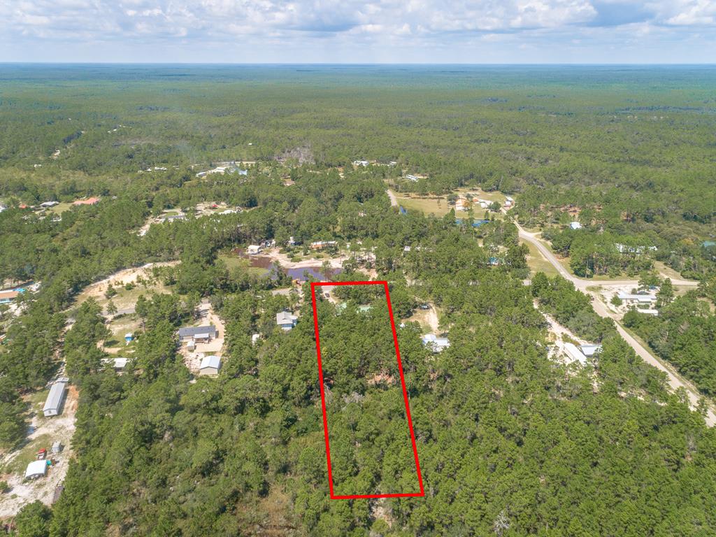 2066 Lighthouse Road Carrabelle, FL 32322 - Photo 48 of 53 Gallery Image 48