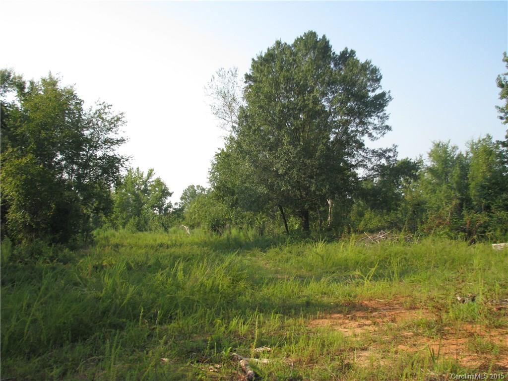 29-ac Woods Ferry Road Carlisle, SC 29031 - Photo 3 of 12