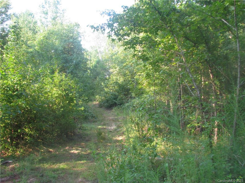 29-ac Woods Ferry Road Carlisle, SC 29031 - Photo 8 of 12