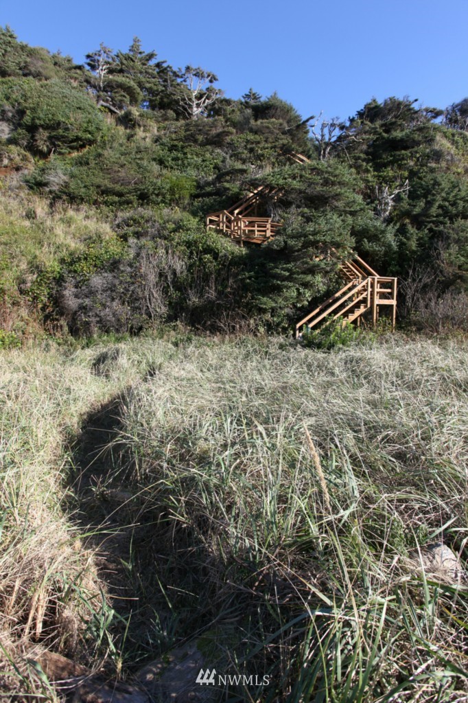 22 Park Lane Copalis Beach, WA 98535 - Photo 5 of 24