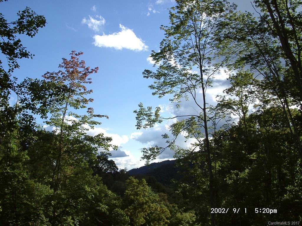 Lot 5 Happy Hollow Road, Unit 5 Clyde, NC 28721 - Photo 3 of 6