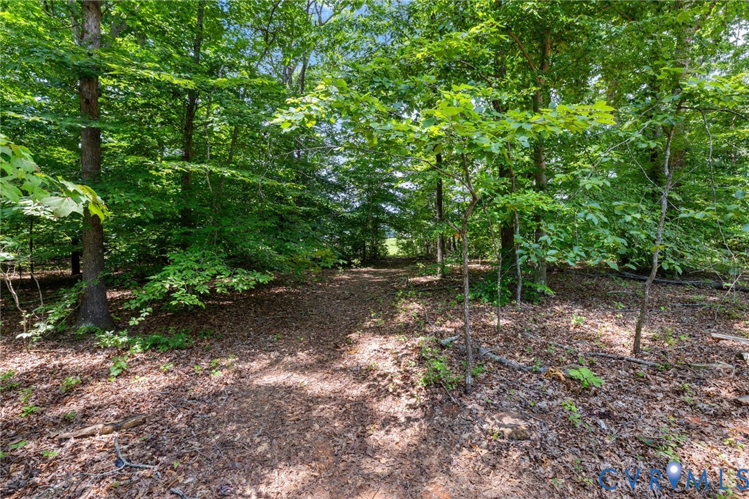 304 Johnson Mill Road Bumpass, VA 23024 - Photo 29 of 33