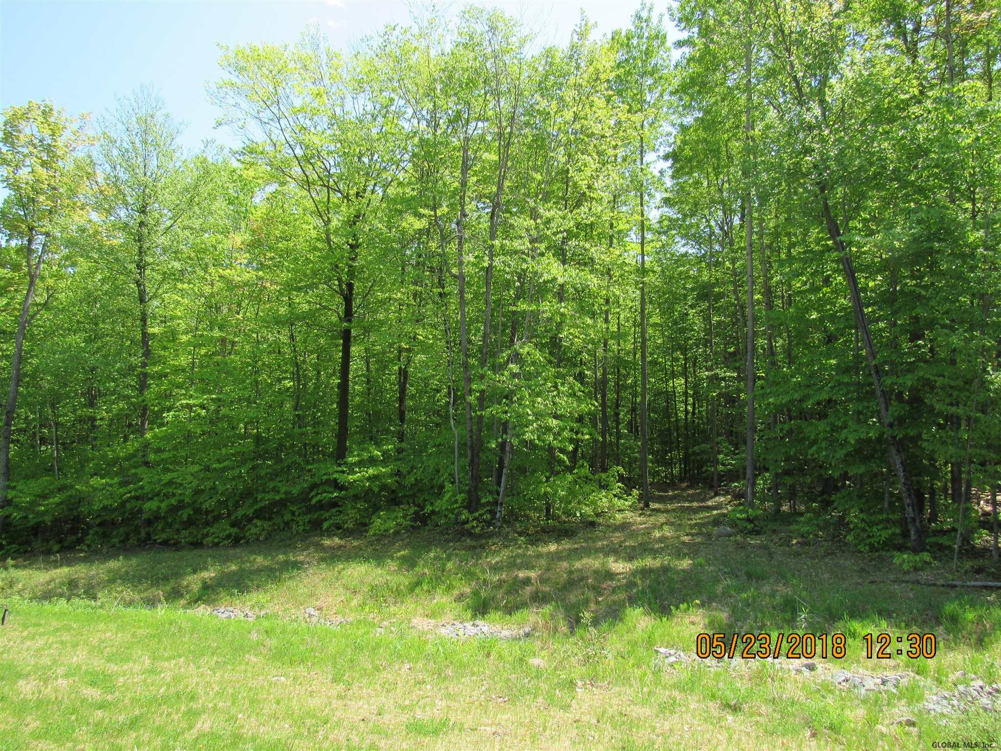 101 Watershed Road, Unit LOT #11 Lake George, NY 12845 - Photo 12 of 62 Photo 12