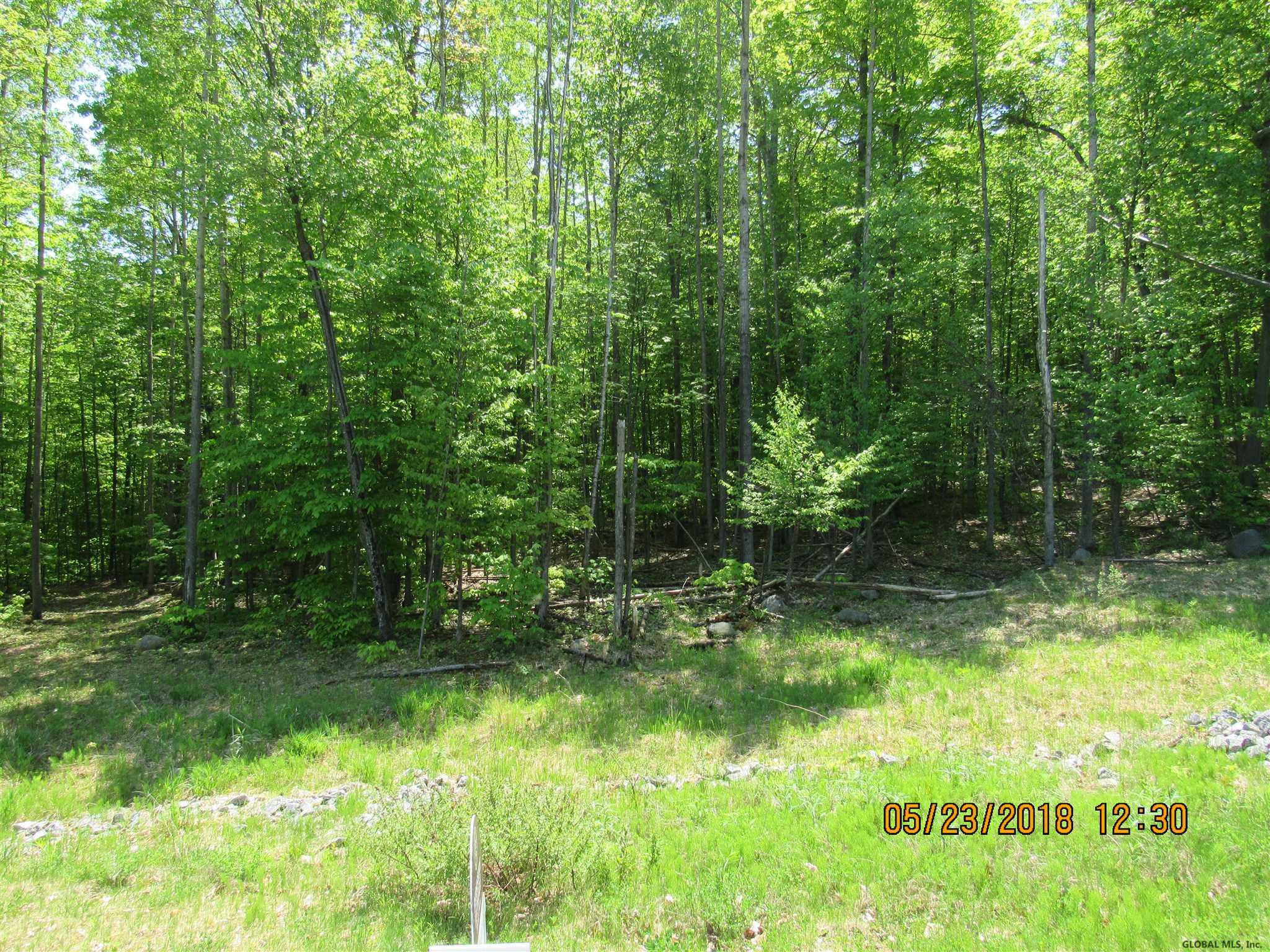 101 Watershed Road, Unit LOT #11 Lake George, NY 12845 - Photo 14 of 62 Photo 14