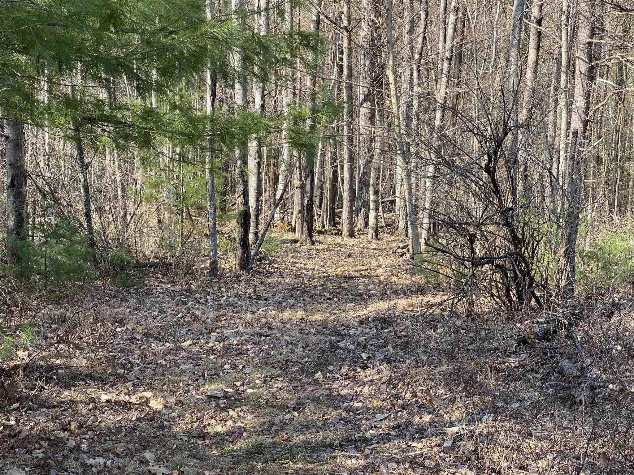 101 Watershed Road, Unit LOT #11 Lake George, NY 12845 - Photo 46 of 62 Photo 46