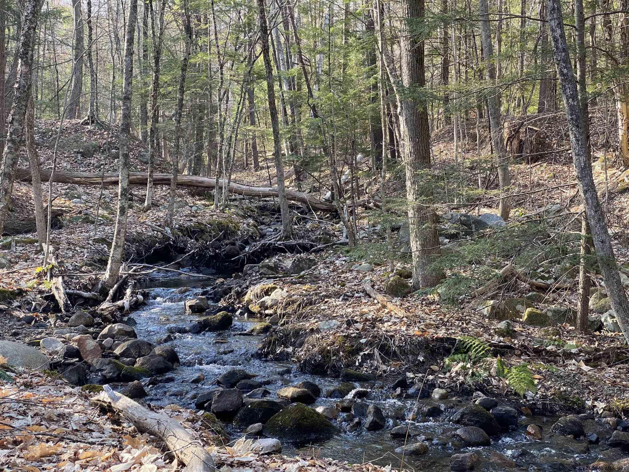 101 Watershed Road, Unit LOT #11 Lake George, NY 12845 - Photo 49 of 62 Photo 49