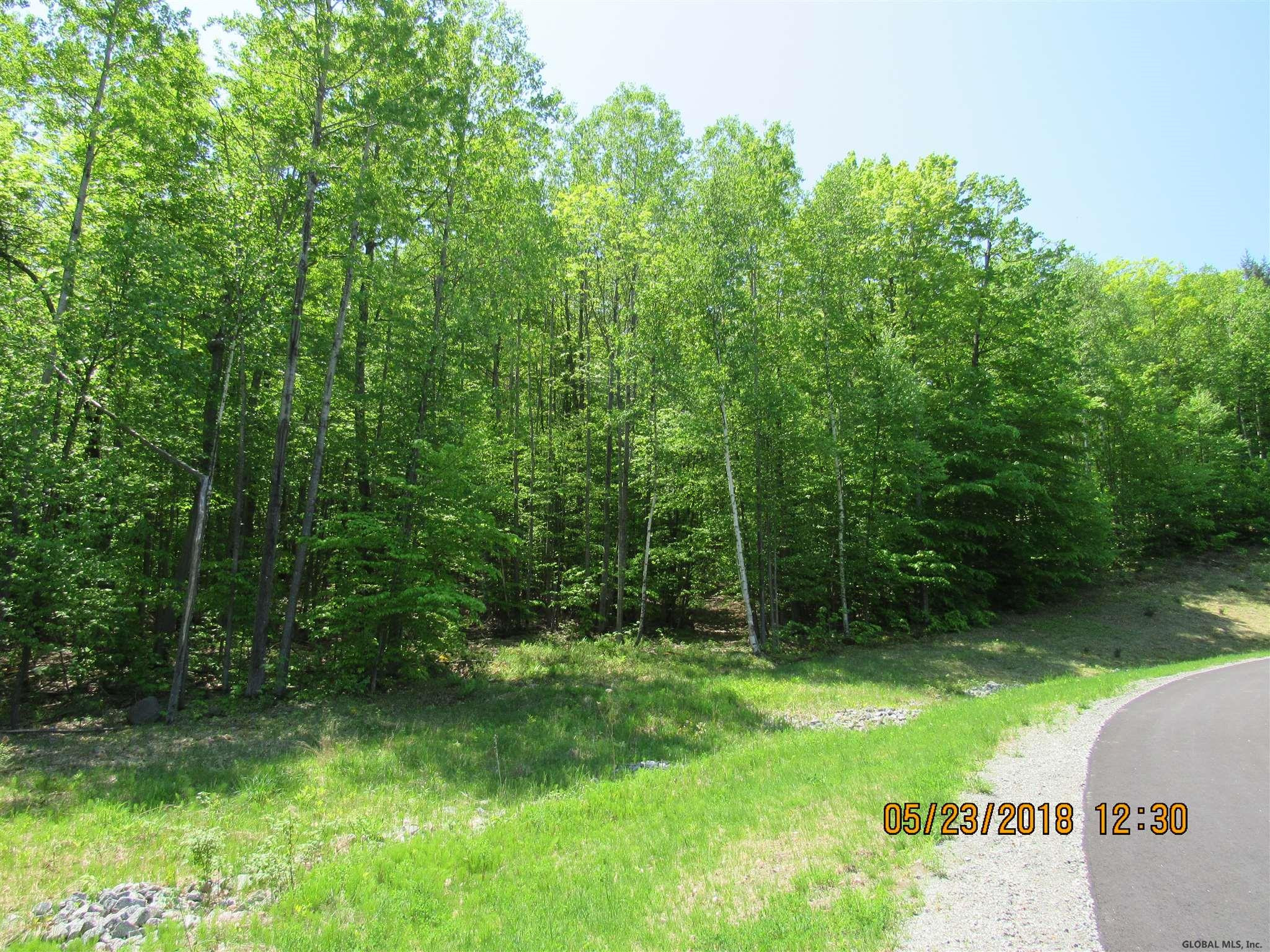 101 Watershed Road, Unit LOT #11 Lake George, NY 12845 - Photo 8 of 62 Photo 8