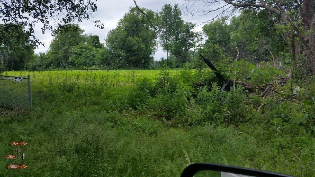 0 U Drive Drive Homer, MI 49245 - Photo 5 of 10