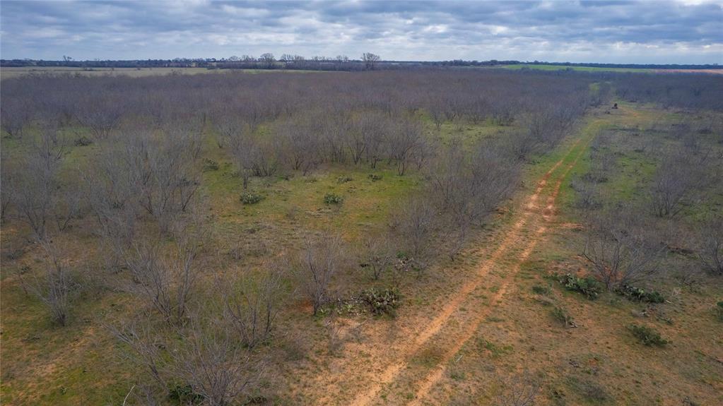 801 County Road 166 De Leon, TX 76444 - Photo 12 of 29