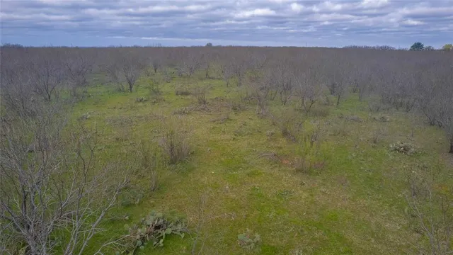 $448,000 | 801 County Road 166, De Leon, TX 76444