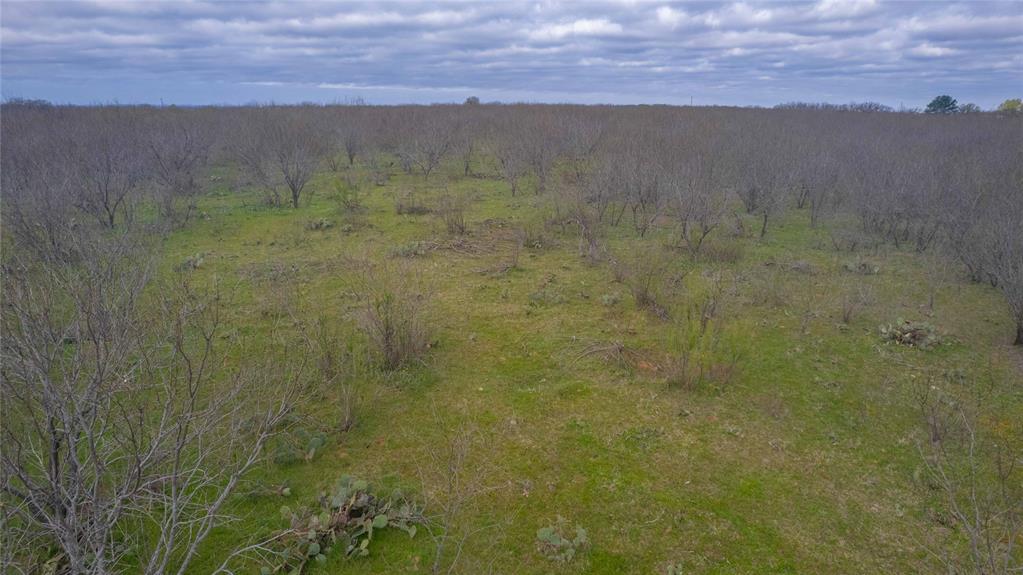 801 County Road 166 De Leon, TX 76444 - Photo 15 of 29