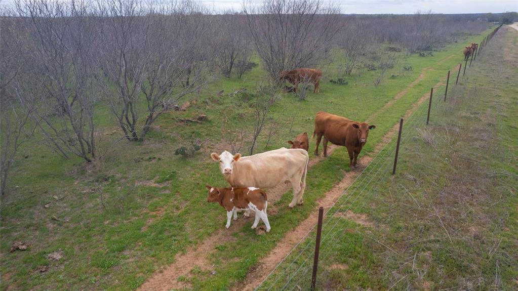 801 County Road 166 De Leon, TX 76444 - Photo 16 of 29