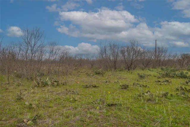 $448,000 | 801 County Road 166, De Leon, TX 76444