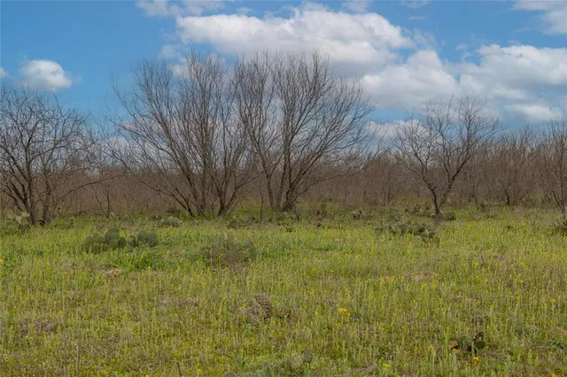 $448,000 | 801 County Road 166, De Leon, TX 76444