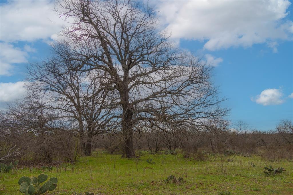 801 County Road 166 De Leon, TX 76444 - Photo 21 of 29
