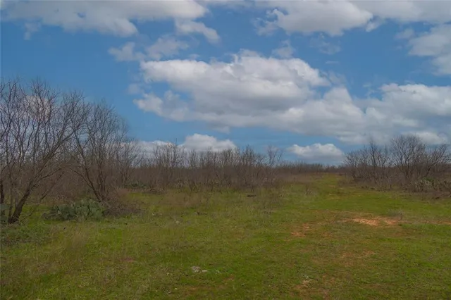 $448,000 | 801 County Road 166, De Leon, TX 76444