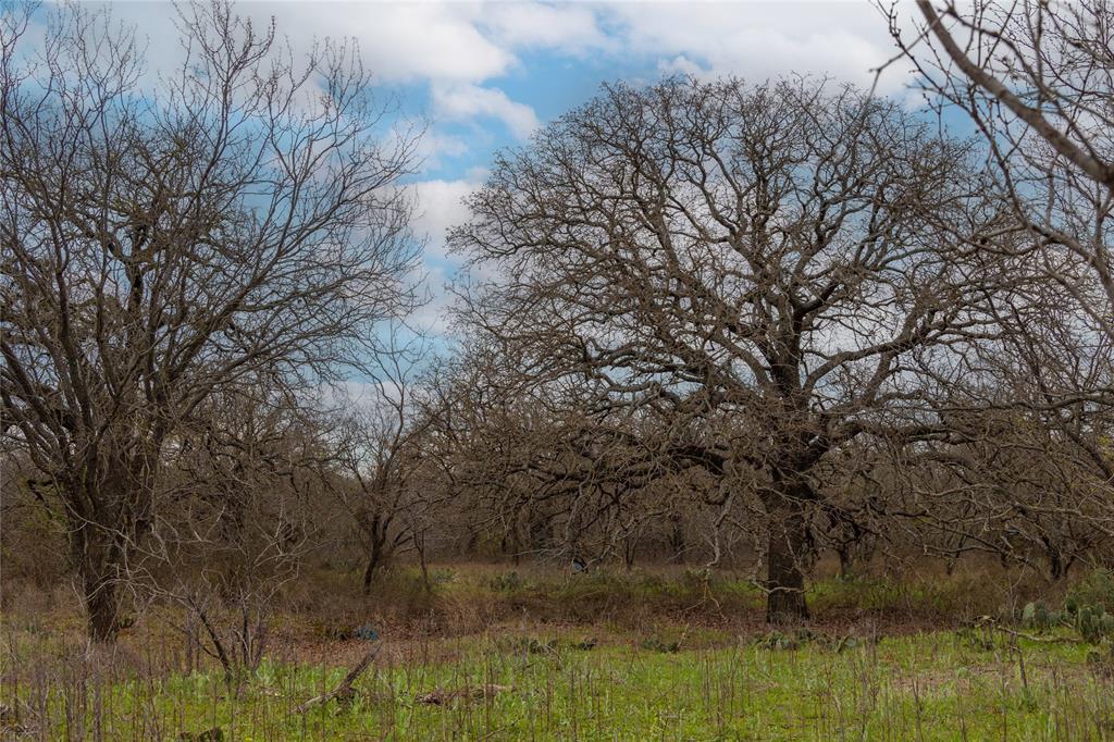 801 County Road 166 De Leon, TX 76444 - Photo 23 of 29