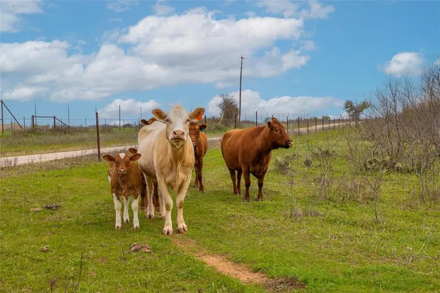 $448,000 | 801 County Road 166, De Leon, TX 76444