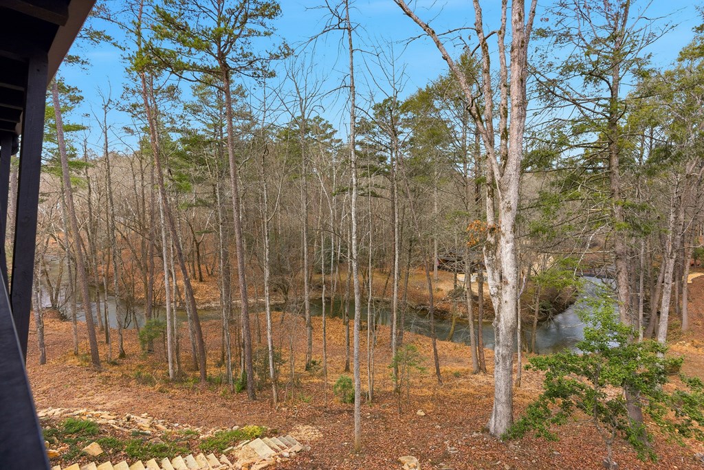 107 Cool Creek Trail Blue Ridge, GA 30513 - Photo 45 of 72