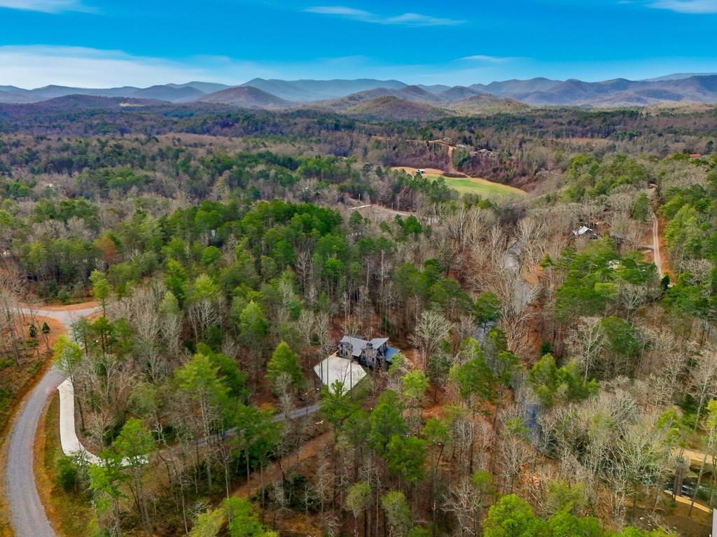 107 Cool Creek Trail Blue Ridge, GA 30513 - Photo 66 of 72