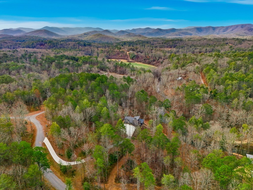 107 Cool Creek Trail Blue Ridge, GA 30513 - Photo 67 of 72