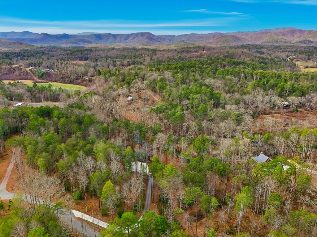 107 Cool Creek Trail Blue Ridge, GA 30513 - Photo 68 of 72