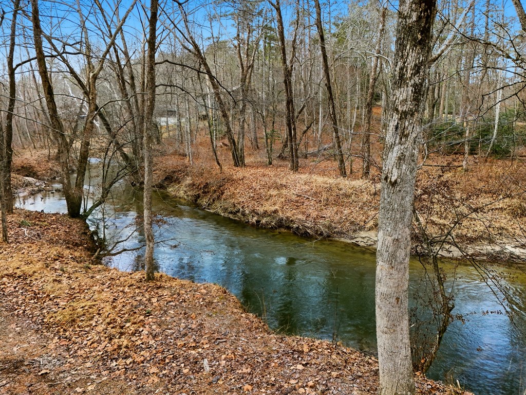 107 Cool Creek Trail Blue Ridge, GA 30513 - Photo 71 of 72