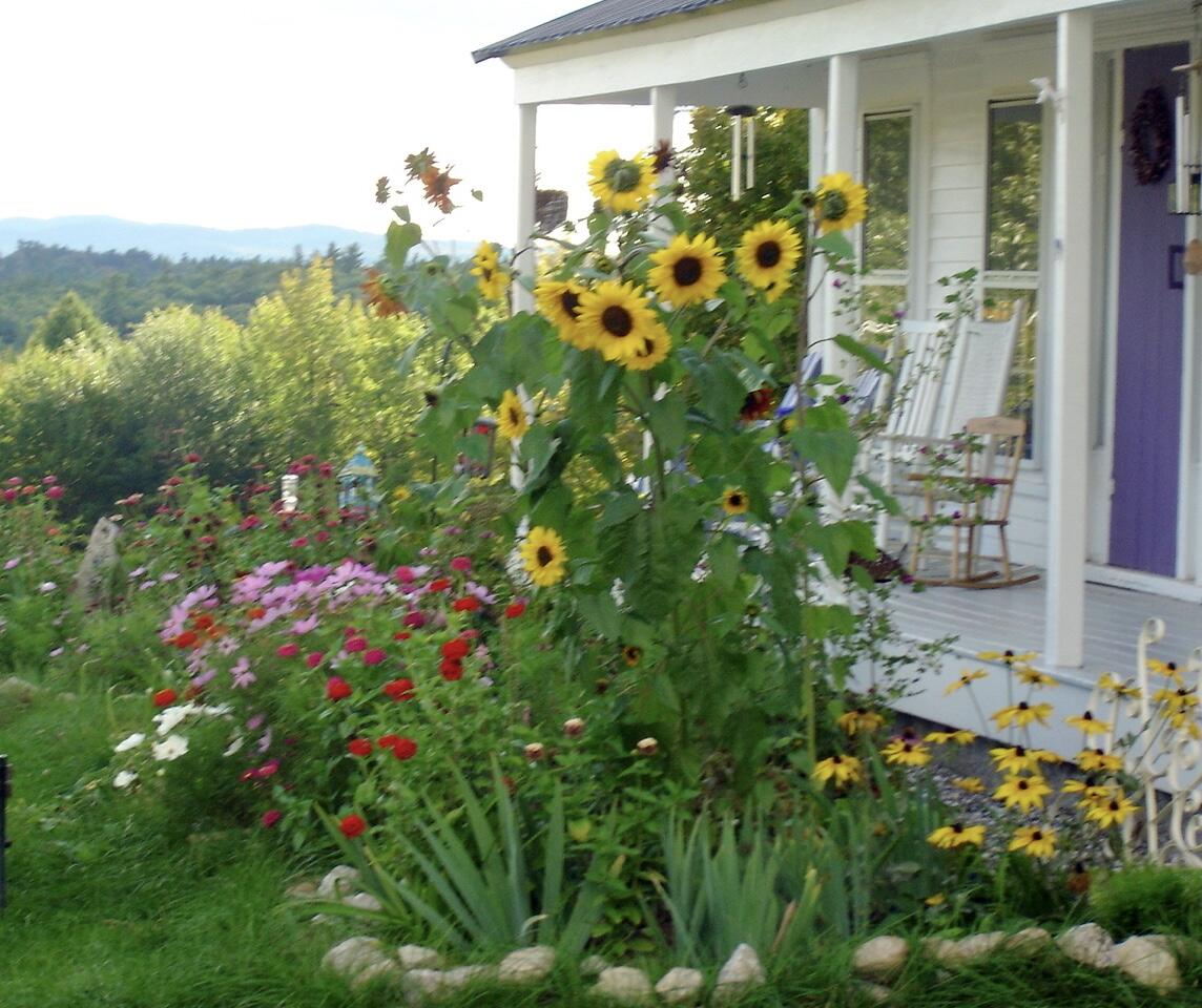 288 Mayberry Hill Road Casco, ME 04015 - Photo 3 of 63 DSC05135_1