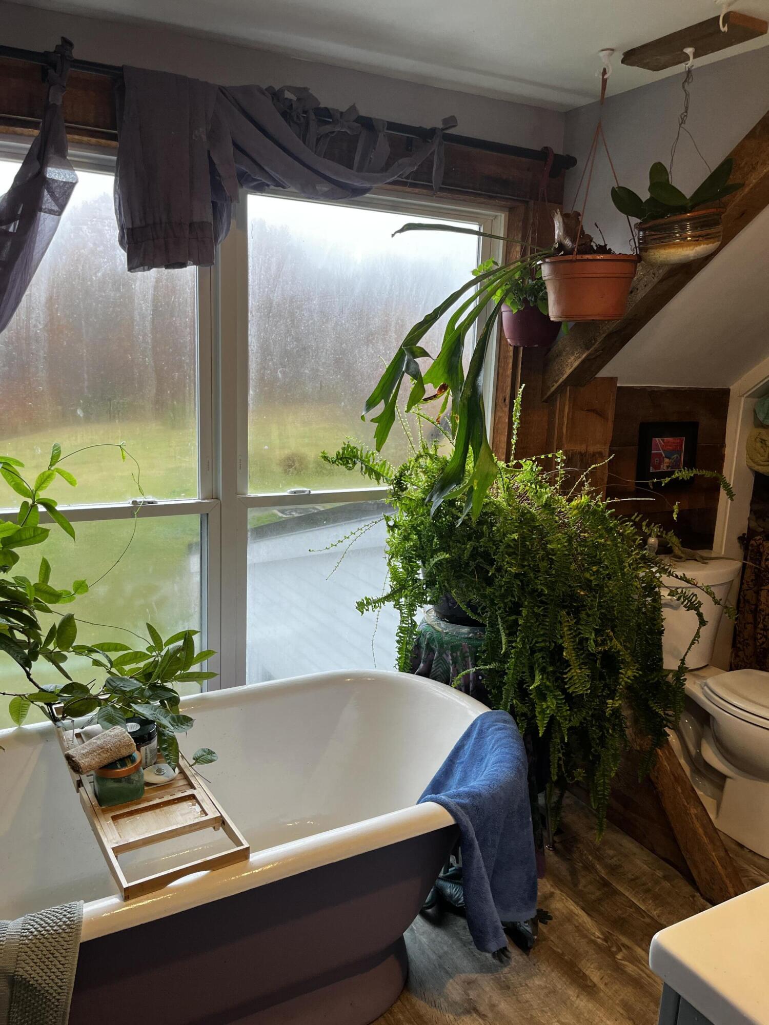 288 Mayberry Hill Road Casco, ME 04015 - Photo 42 of 63 Full Bath