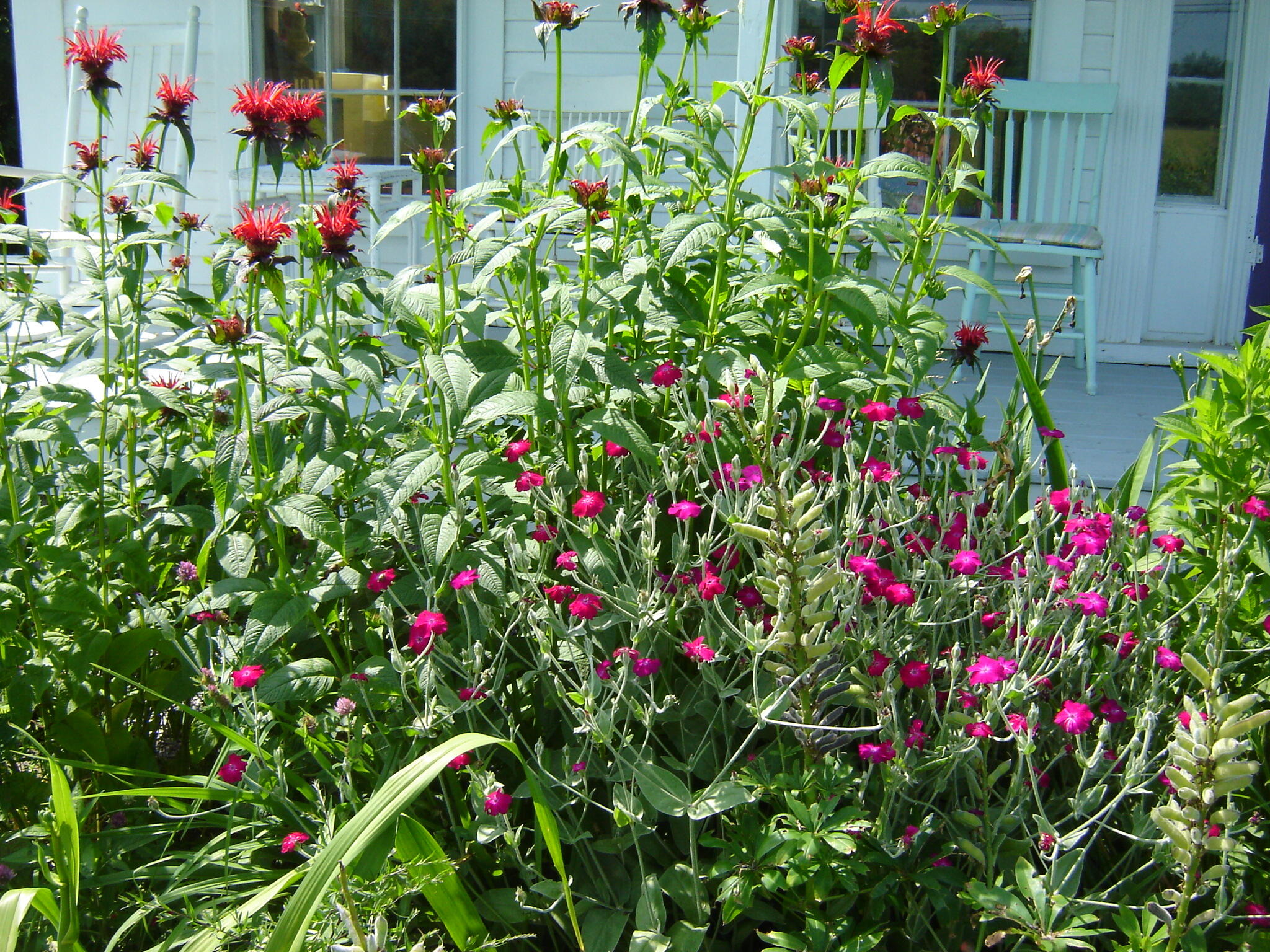 288 Mayberry Hill Road Casco, ME 04015 - Photo 56 of 63 DSC08036