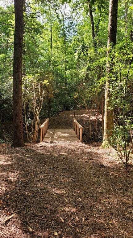 0 Old Chapman Bridge Road Salem, SC 29676 - Photo 4 of 9 Gallery Image 4