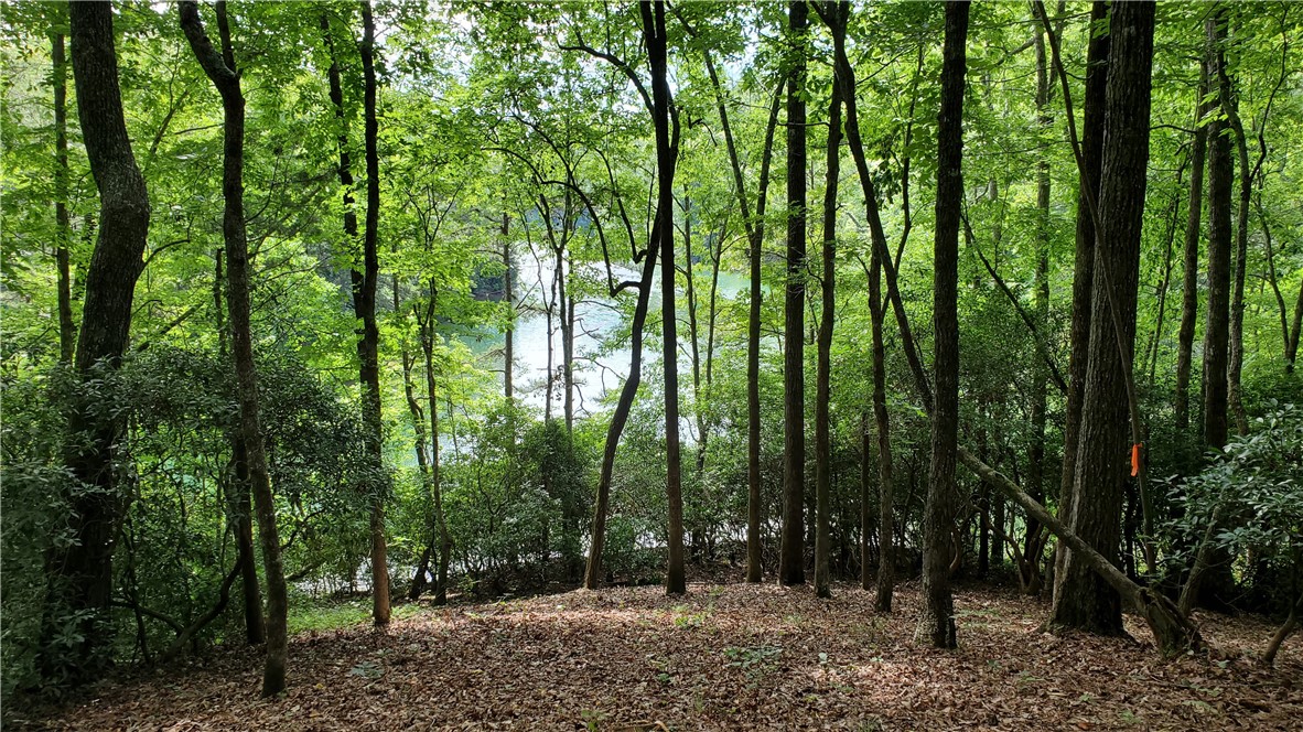 0 Old Chapman Bridge Road Salem, SC 29676 - Photo 5 of 9 Gallery Image 5