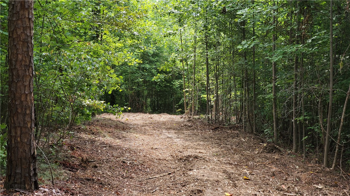 0 Old Chapman Bridge Road Salem, SC 29676 - Photo 6 of 9 Gallery Image 6