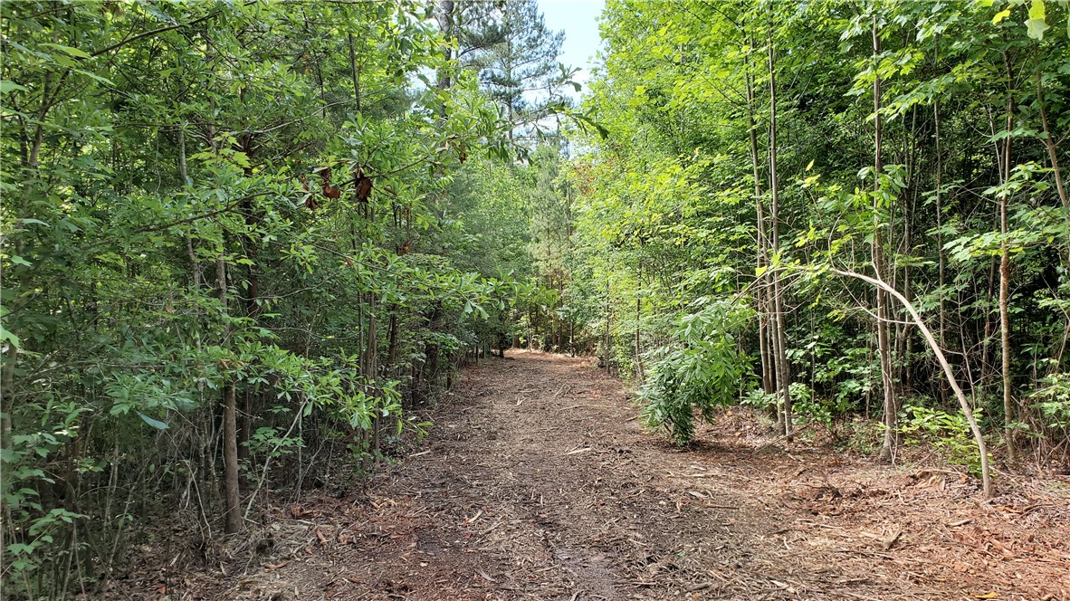 0 Old Chapman Bridge Road Salem, SC 29676 - Photo 7 of 9 Gallery Image 7