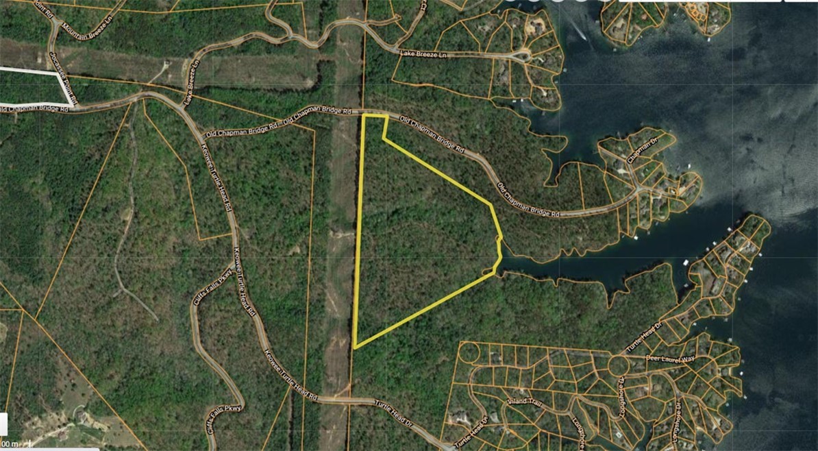 0 Old Chapman Bridge Road Salem, SC 29676 - Photo 8 of 9 Gallery Image 8